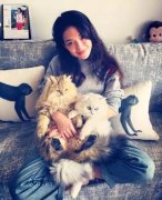 全世界最貴的貓都在這了！大多數人一輩子都沒