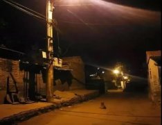 記憶中的老街巷口，有沒有一條等你回家的狗？