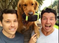 論演技，你恐怕比不上一只狗。。。