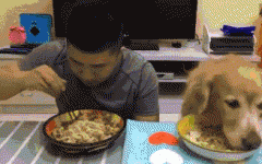 如果你家也有只吃貨狗狗，這點一定要注意！