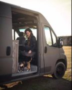 流浪貓私自闖上車被趕出，最后居然搭上順風車